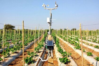 Six Artificial IntelIigence Applications that will boost Agriculture 8