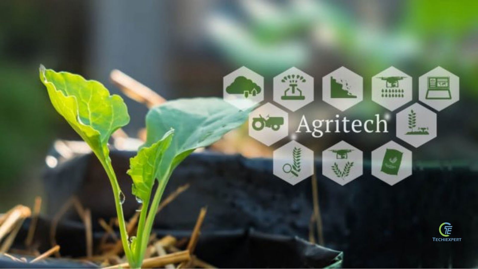 Why Contract Farming Could Be The Next Big Thing For Agritech Startups 5 Why Contract Farming Could Be The Next Big Thing For Agritech Startups 4